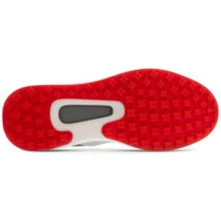 Ecco Core Golf Shoes -Golf Apparel Shop Ecco Golf Core Concrete Dark Shadow Magnet Golf Shoe 6